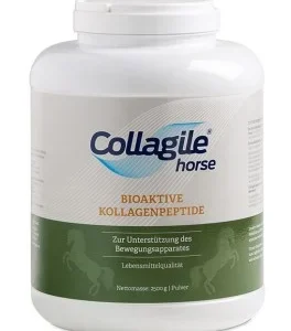 Collagile horse