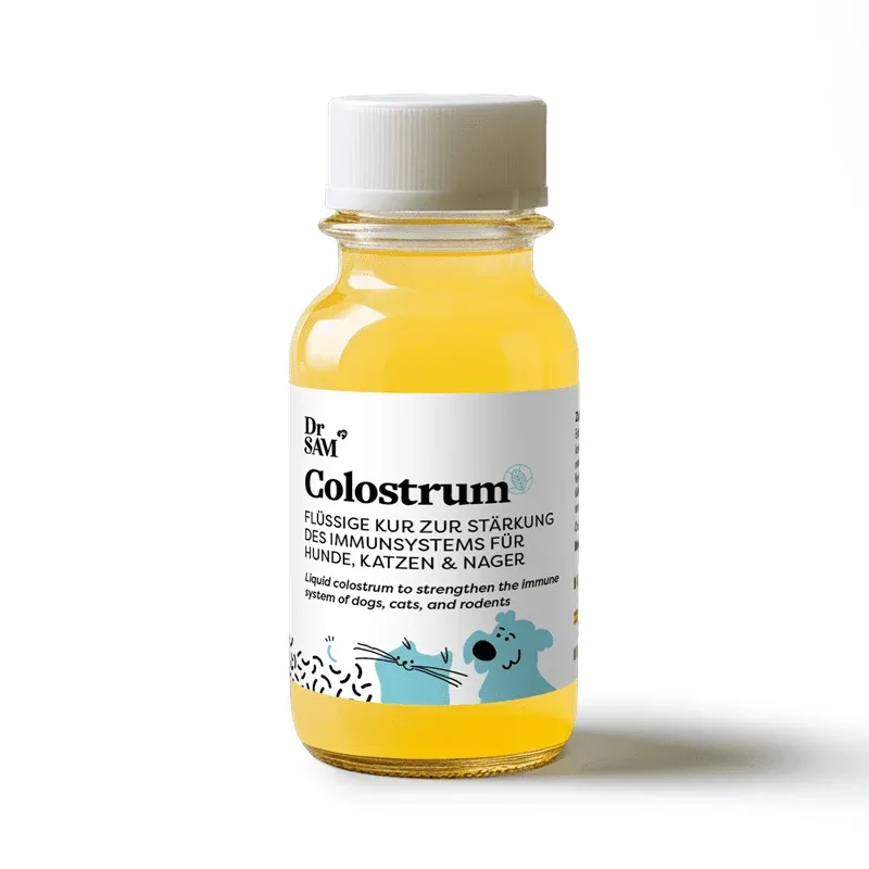 Colostrum - Kur zur Stärkung des Immunsystems