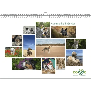 Community Kalender Hund