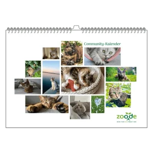 Community Kalender Katze