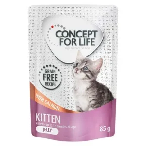 Concept for Life Kitten Lachs getreidefrei - in Gelee