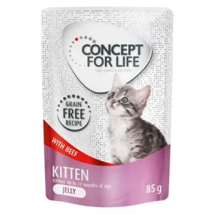 Concept for Life Kitten mit Rind getreidefrei - in Gelee