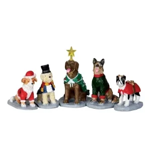 Costumed Canines Set of 5 Art.-Nr. 32126 - HaustierPro