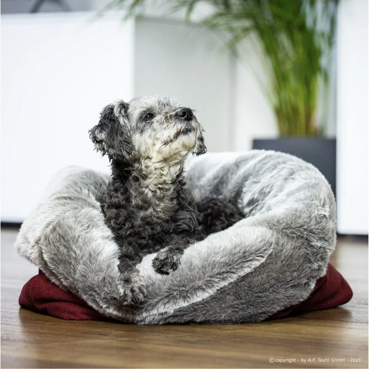 Cuddle Up Hunde Kuschelnest - Image 2