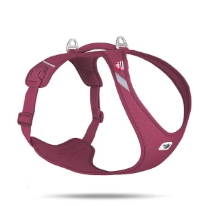Curli All New Belka Comfort Ruby