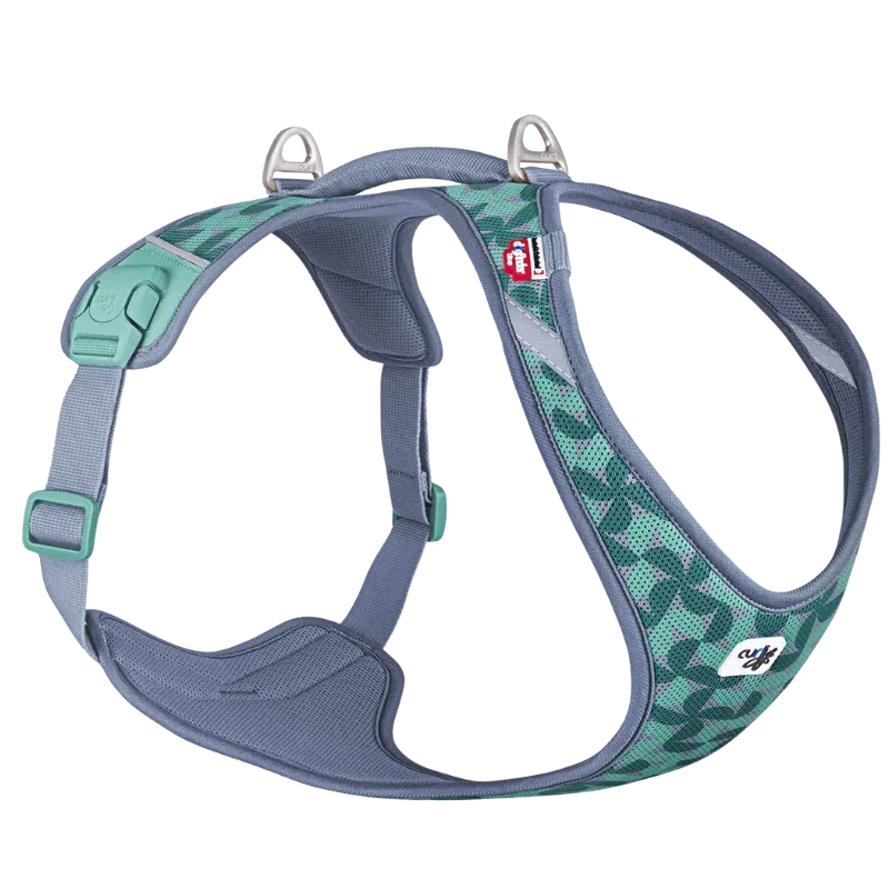 Curli All New Belka LE26 - Image 2