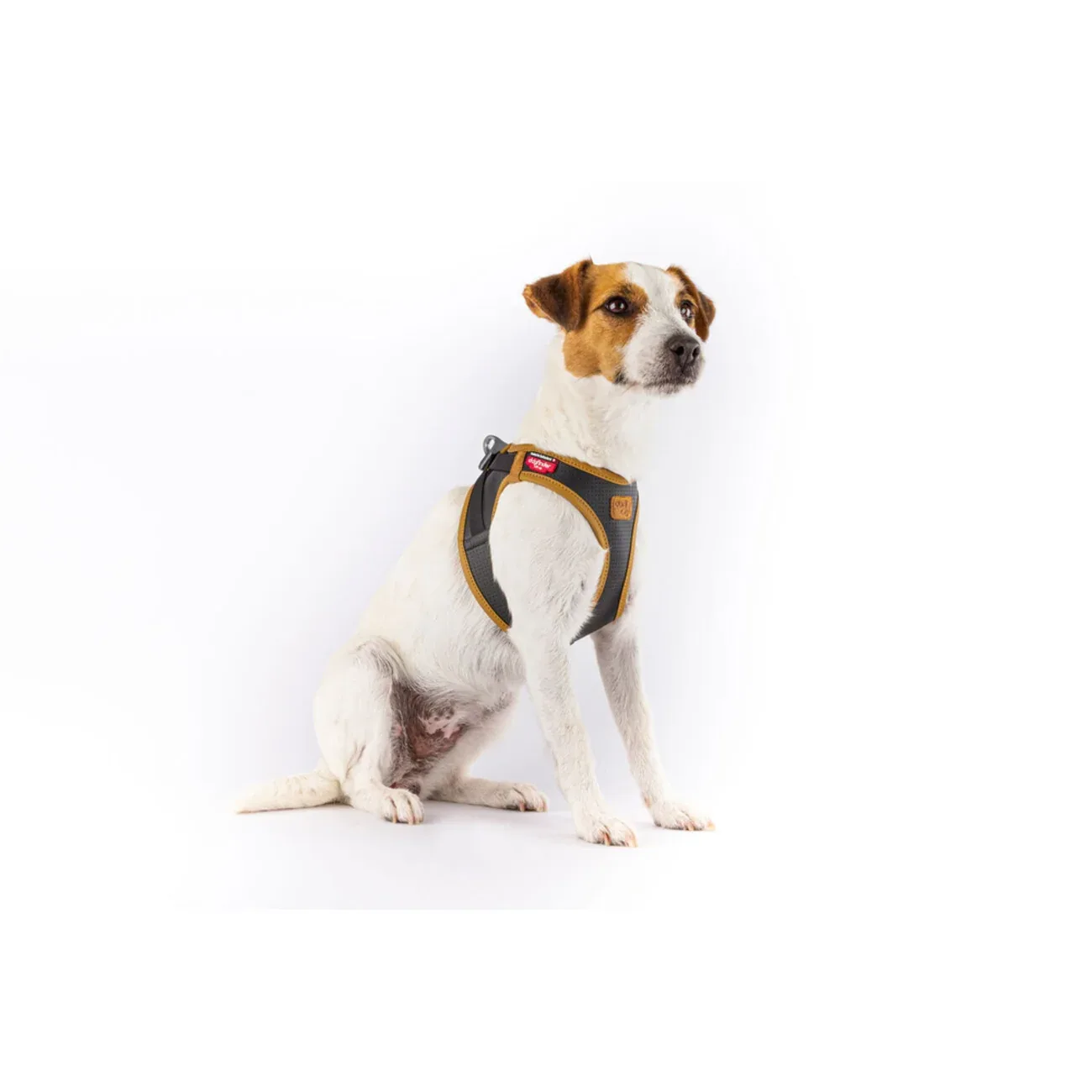 Curli Apple Leather Clasp Vest Geschirr für Hunde - Image 2