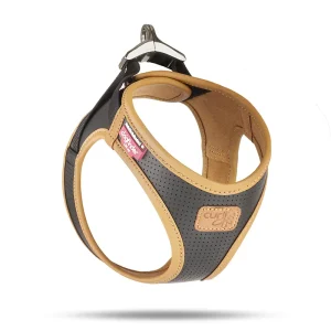 Curli Apple Leather Geschirr Schwarz