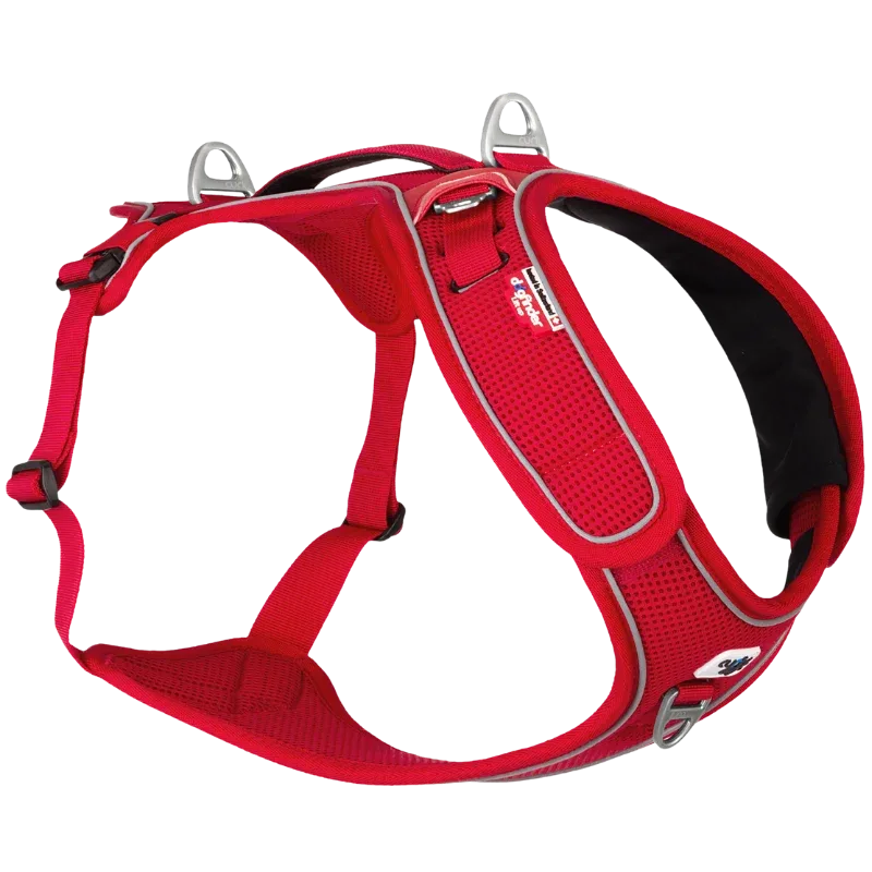 Curli Belka Geschirr Adjustable Neck - Image 2