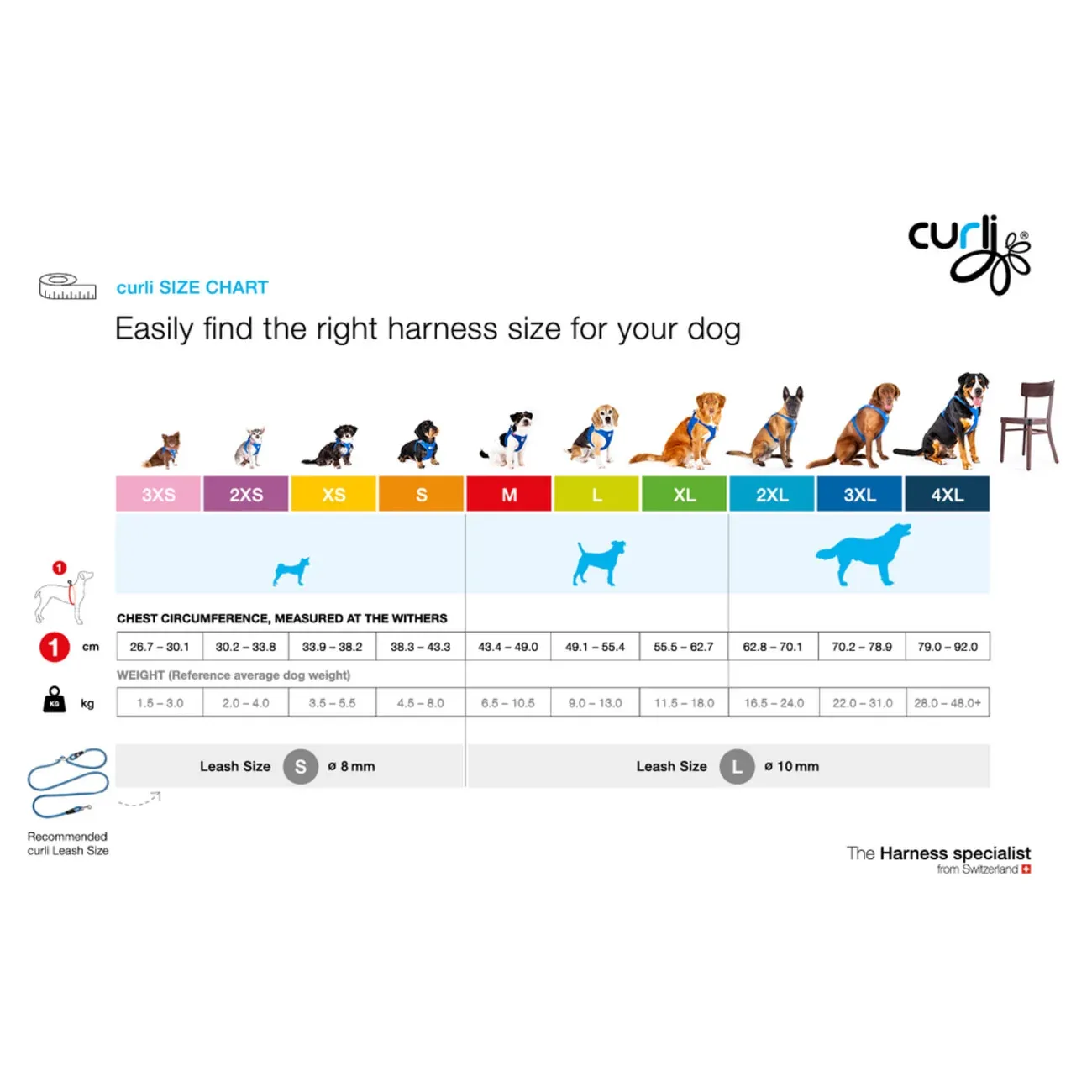 Curli Belka Geschirr Glow Gray – Sicher & Stylish für deinen Hund - Image 2