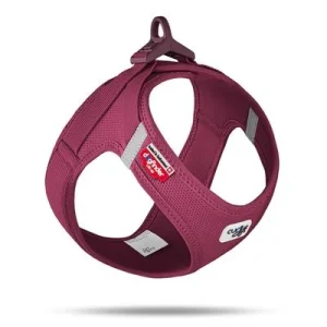 Curli Vest Geschirr Clasp Air-Mesh, rubin Größe XS: Brustumfang 33,9 - 38,2 cm