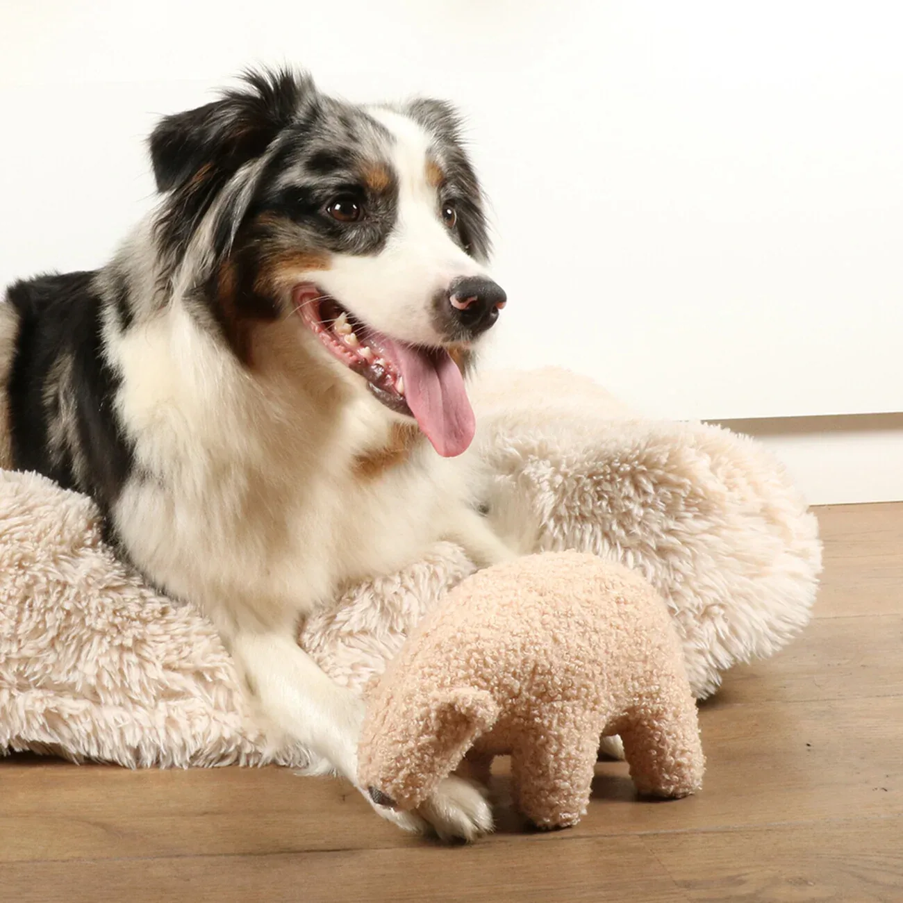 D&D Home Hundespielzeug Banjo – Kuscheliger Eisbär aus Teddystoff - Image 2