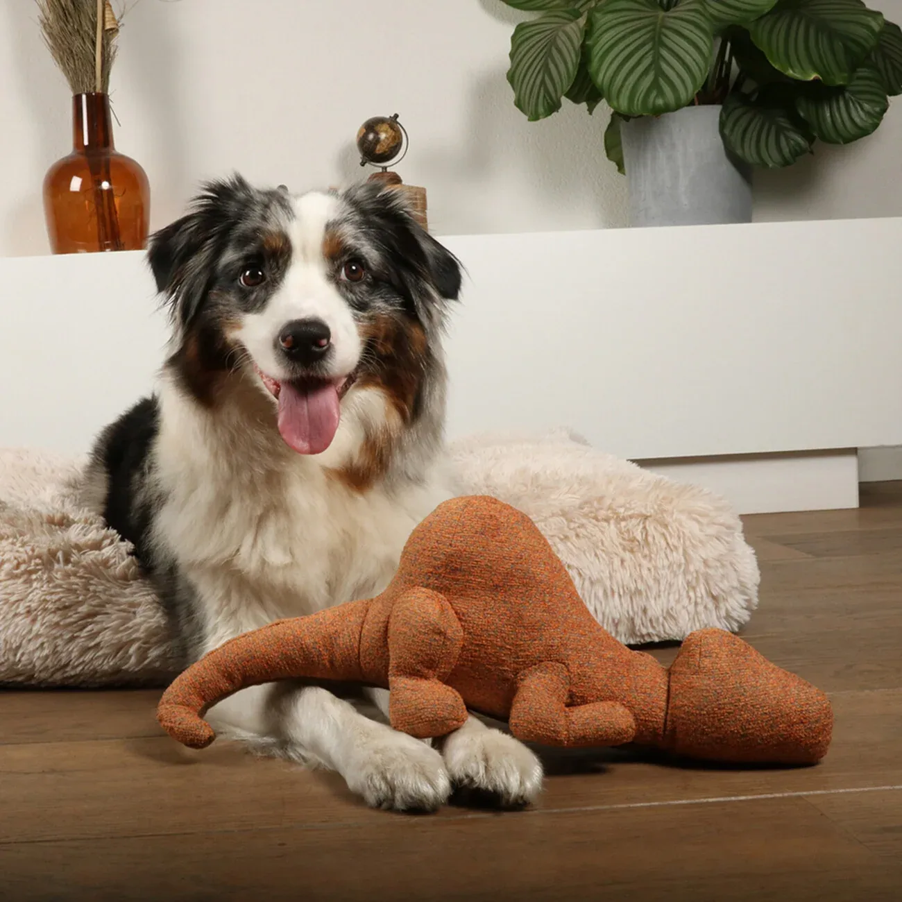 D&D HOME Hundespielzeug Quasi – Robuster Chenille-Kumpel mit Knotenseil - Image 2