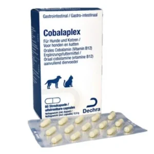 Dechra Protexin Cobalaplex für Hunde & Katzen 60 Kapseln