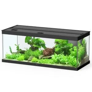 Dehner Aqua Premium Aquarium-Set ProLine 100, | Dehner