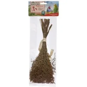 Dehner Best Nature Rispenhirse, 50 g