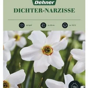 Dehner Blumenzwiebel Dichter-Narzisse, 15 Stk. | Dehner