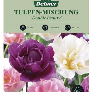 Dehner Blumenzwiebel Gefüllte-Tulpen Mischung | Dehner
