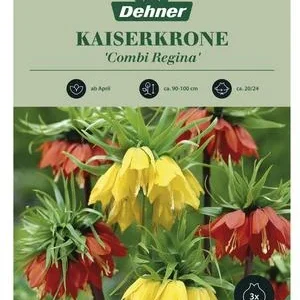 Dehner Blumenzwiebel Kaiserkrone 'Combi | Dehner