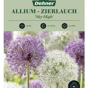 Dehner Blumenzwiebel Riesen-Zierlauch Mischung | Dehner