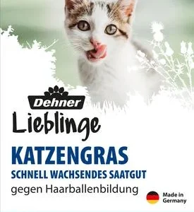 Dehner Lieblinge Katzengras Saatgut, 100 g