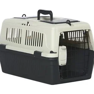 Dehner Lieblinge Transportbox Dino