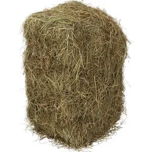 Dehner Lieblinge Wiesenheuballen, 10 kg