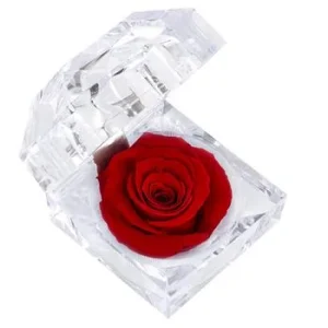 Dehner Longlife-Rose in Juwelenbox, ca. Ø3,5 | Dehner