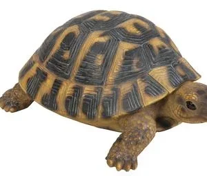 Dehner Polyresin-Landschildkröte | Dehner