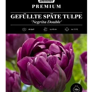 Dehner Premium Blumenzwiebel Gefüllte späte | Dehner