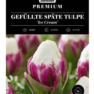 Dehner Premium Blumenzwiebel Gefüllte Späte | Dehner