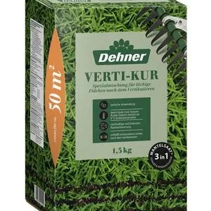 Dehner Rasen Verti-Kur | Dehner
