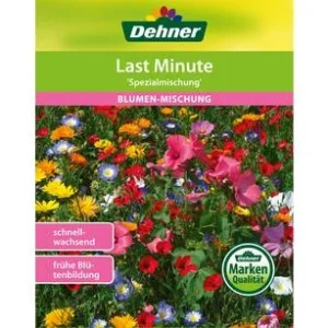 Dehner Samen Blumenmischung 'Last Minute' | Dehner