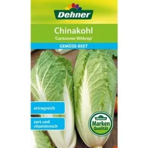 Dehner Samen Chinakohl 'Cantonner Witkrop' | Dehner