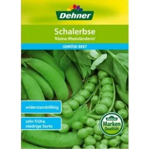 Dehner Samen Schalerbse 'Kleine | Dehner