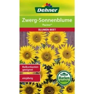 Dehner Samen Zwerg-Sonnenblume Pacino | Dehner