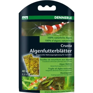 Dennerle Nano Algenfutterblätter