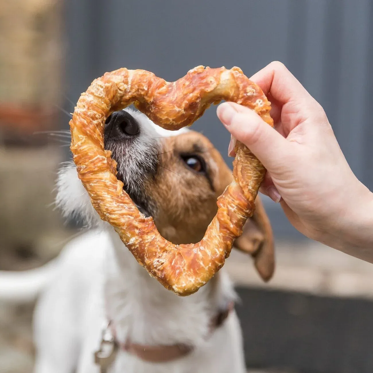 Denta Fun Chicken Heart Hundesnack - Image 2