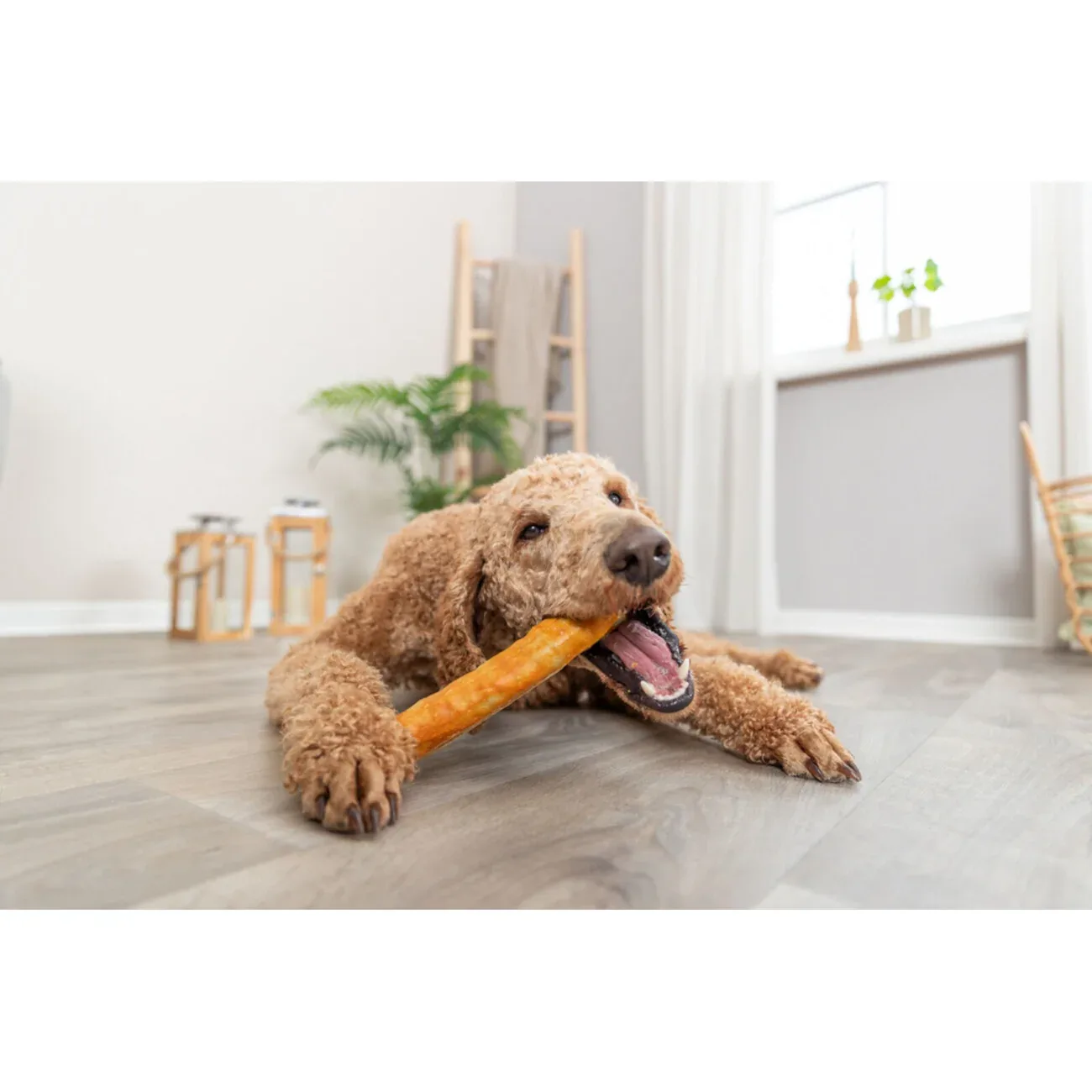Denta Fun Roll aus Kollagen, 20 cm - Image 2