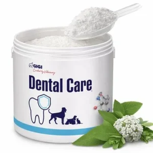 DENTAL CARE gegen Zahnbelag Zahnstein & Mundgeruch GIGI VET 35g