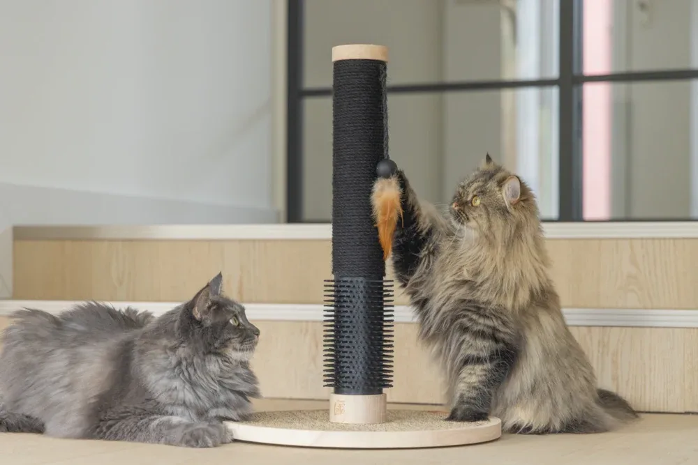 Designed by Lotte Fida – Kratzstamm aus Holz für Katzen - Image 2