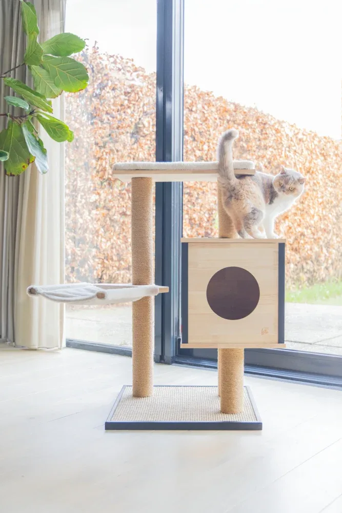 Designed By Lotte Kratzbaum Nola – Holz 56 × 56 × 97 cm braun - Image 2