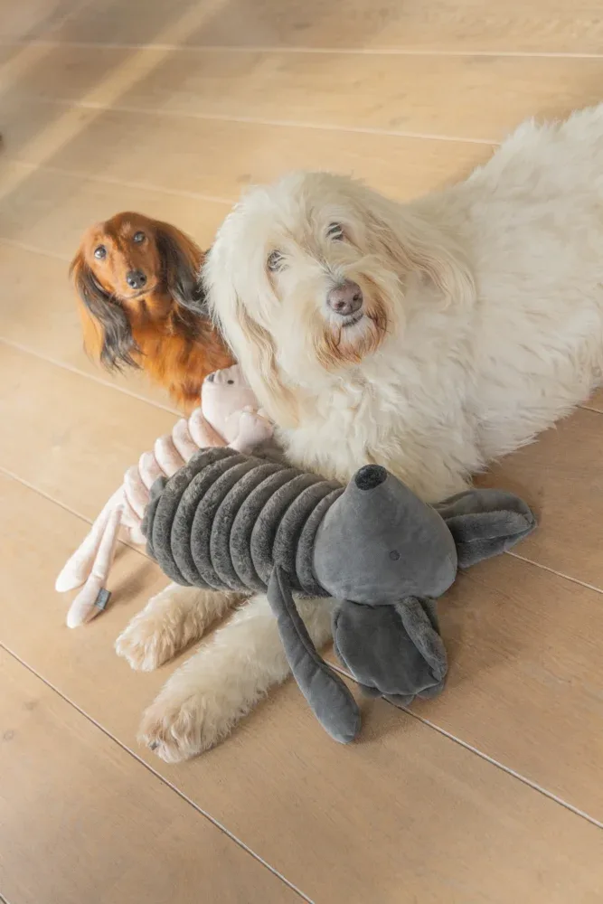 Designed by Lotte Reza Maus – Plüsch-Hundespielzeug in Anthrazit - Image 2
