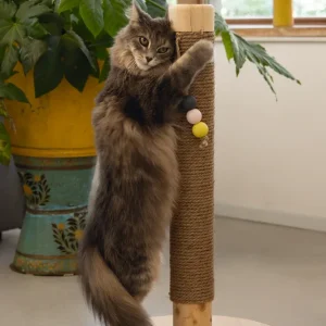 Designed by Lotte Sinora – Kratzbaum aus Holz mit Spielbällen