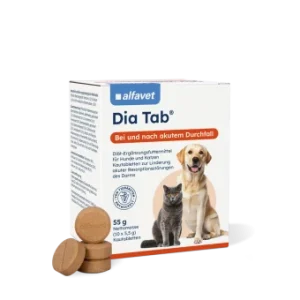 Dia Tab 10 x 5,5g