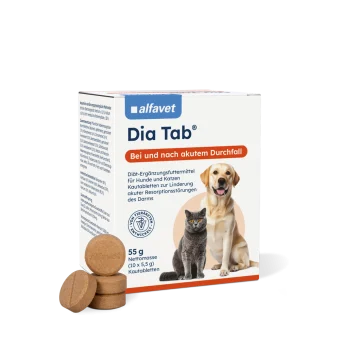 Dia Tab 10 x 5,5g