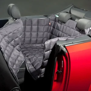 Doctor Bark 2-Sitzer 2-Türer Cabrio Autodecke