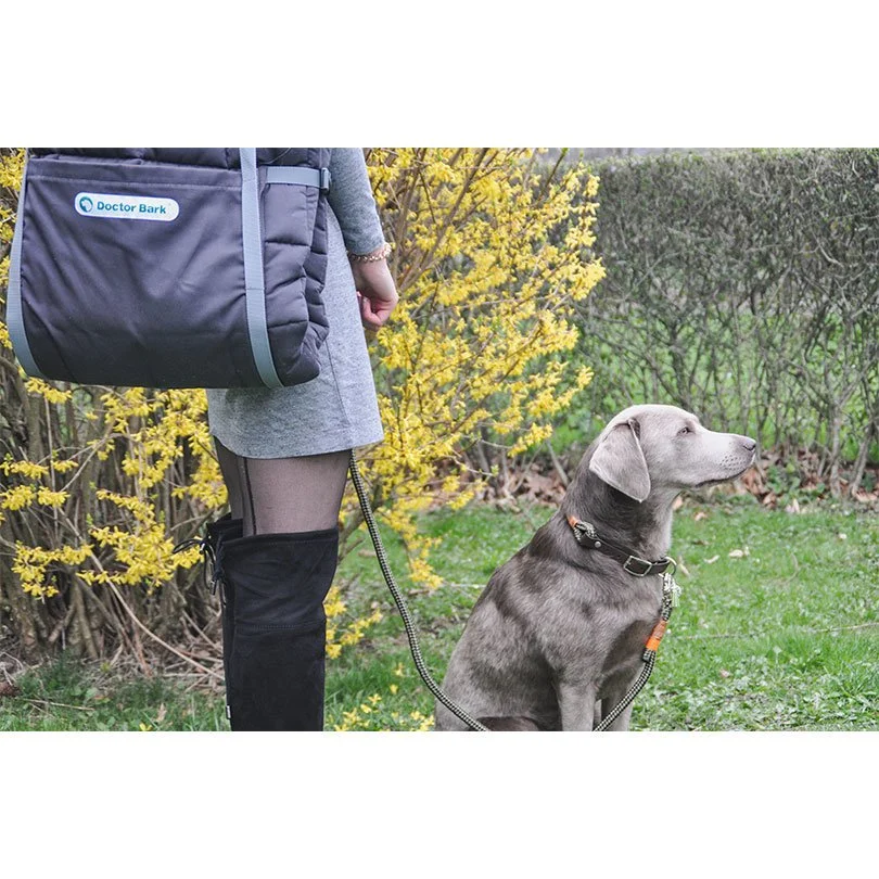 Doctor Bark Reisedecke, TravelBag - Image 2