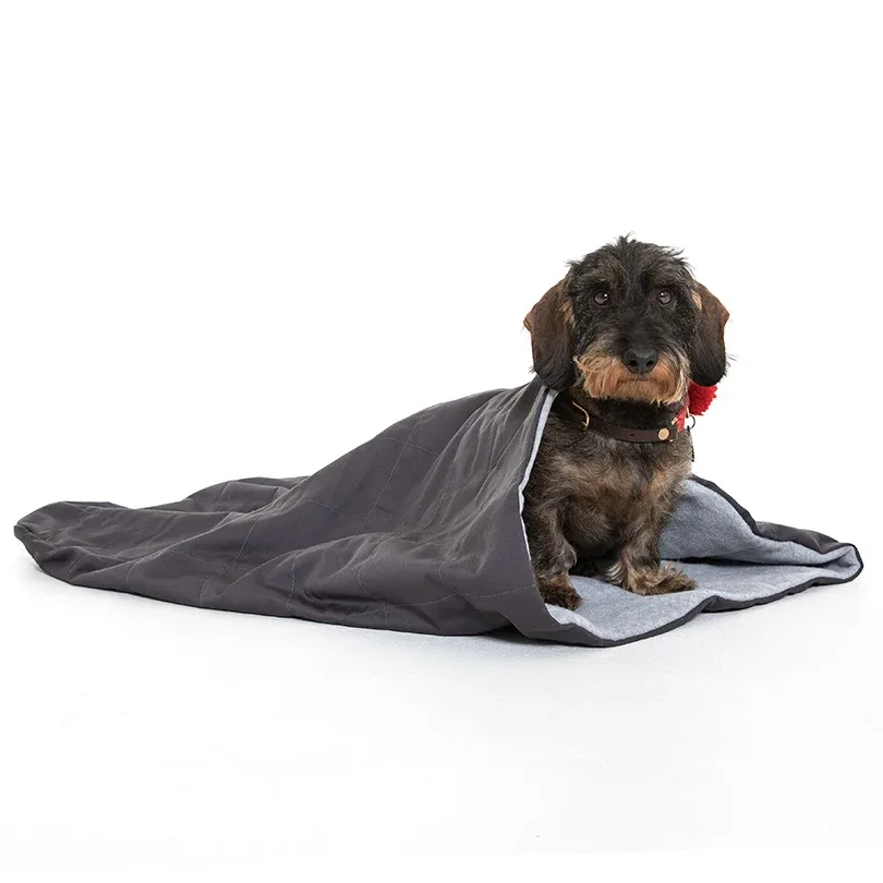 Doctor Bark Schlafsack für Hunde - Image 2