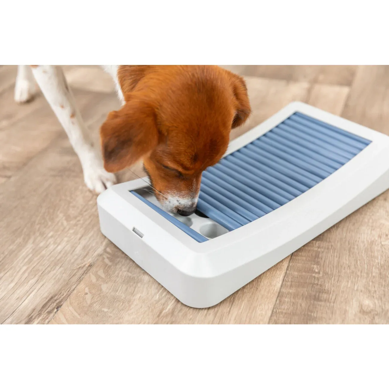 Dog Activity Stäbchenspiel Rod Board aus Kunststoff für Hunde - Image 2